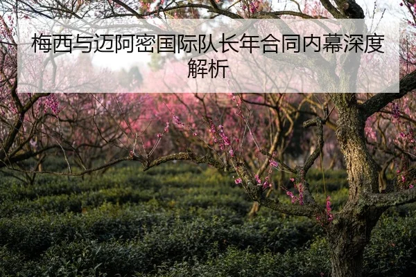 梅西与迈阿密国际队长年合同内幕深度解析