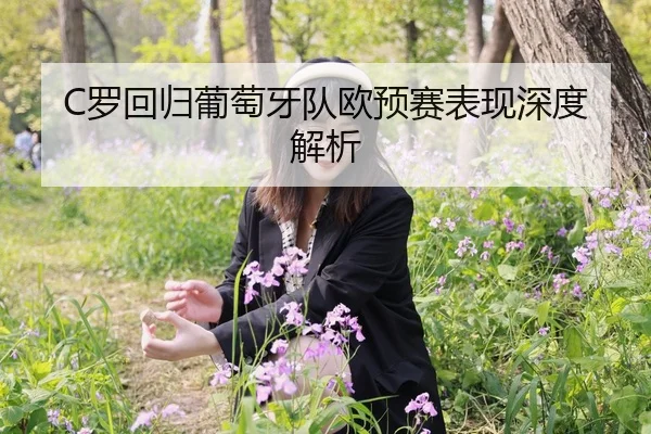 C罗回归葡萄牙队欧预赛表现深度解析